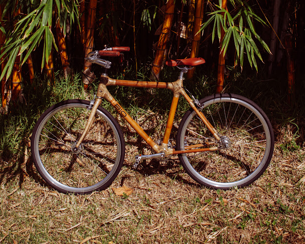 Bio Bamboo Bikes